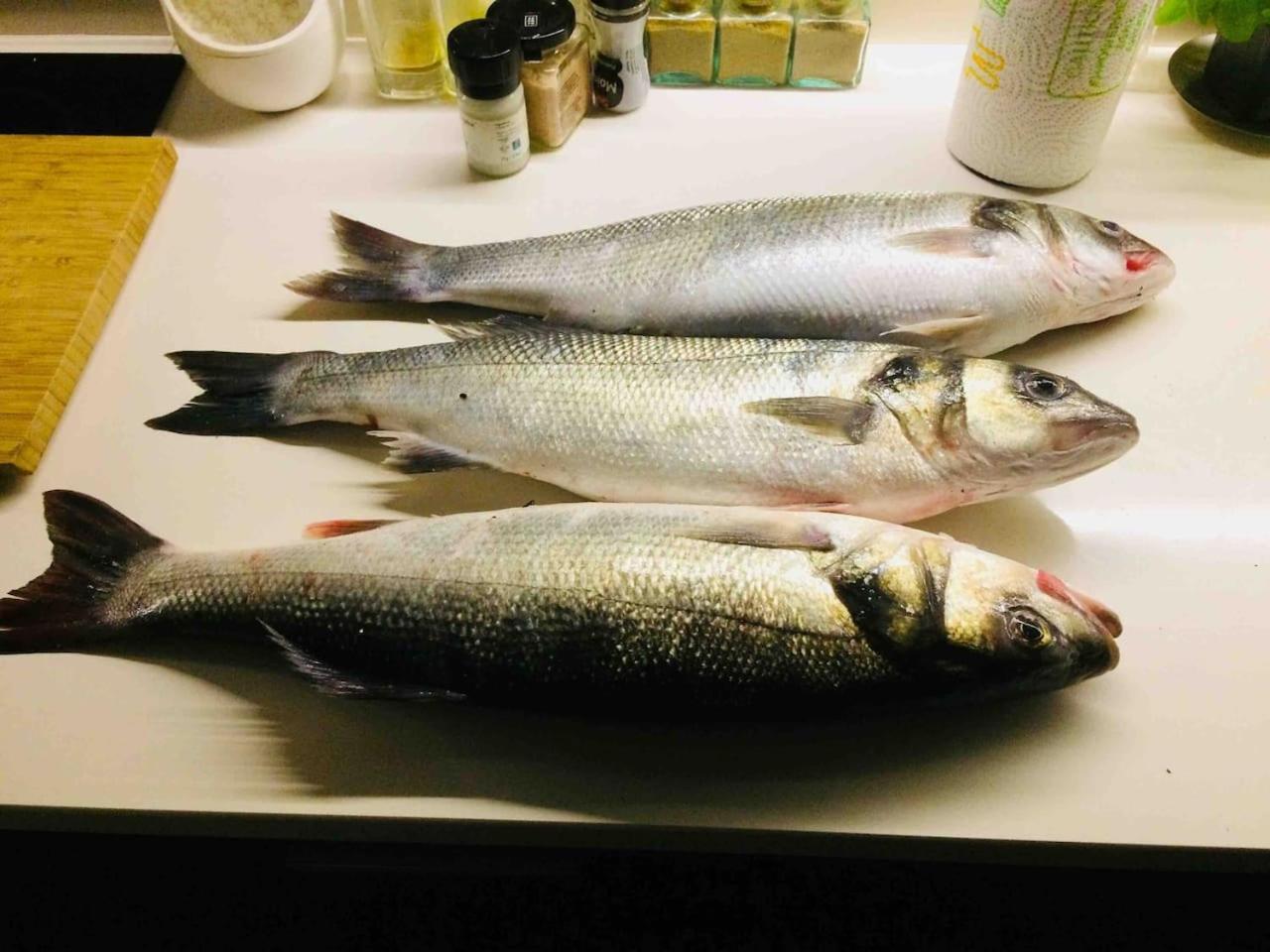 Beachliving Esmoriz Eksteriør billede